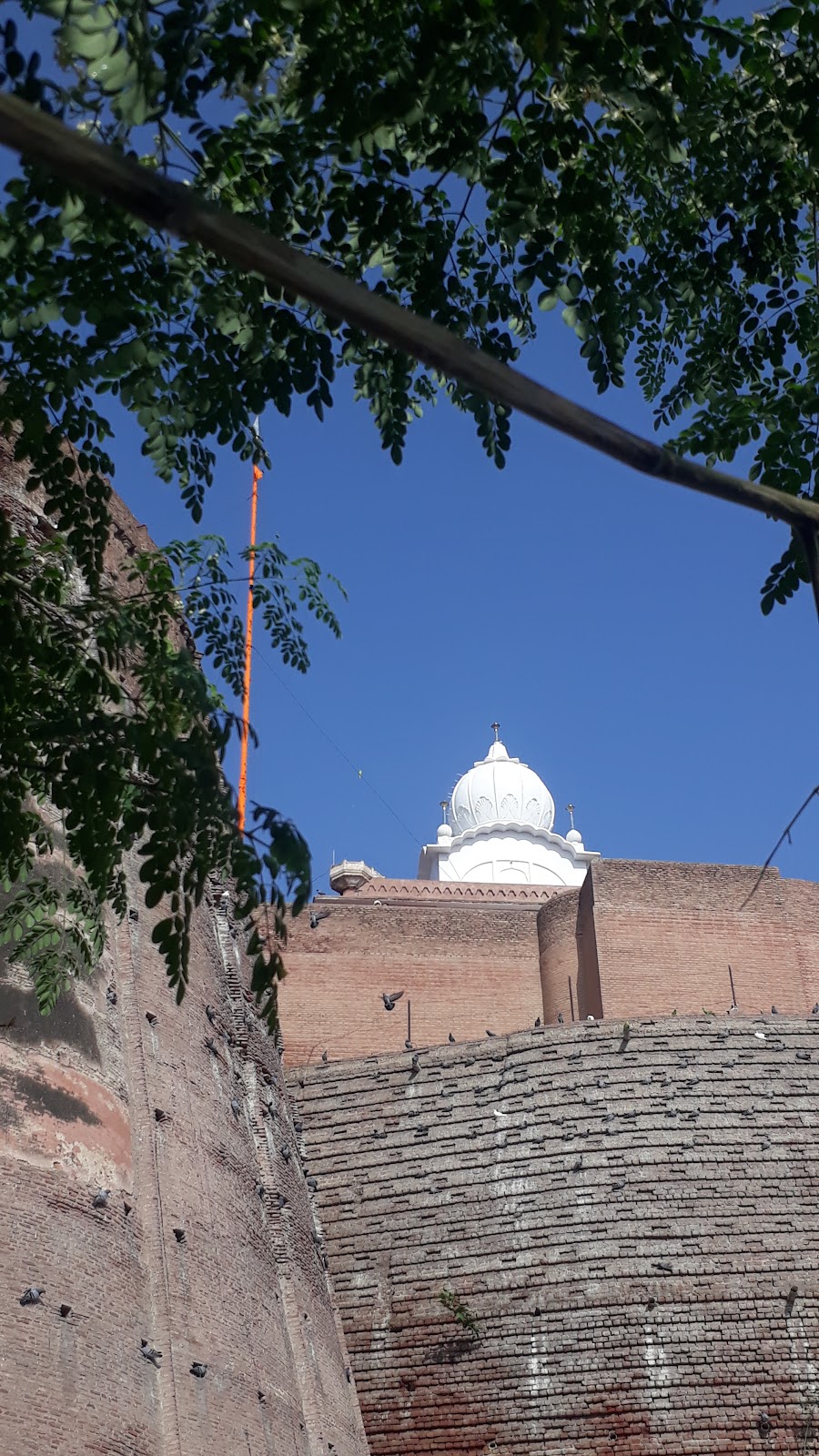 Bhatinda Fort