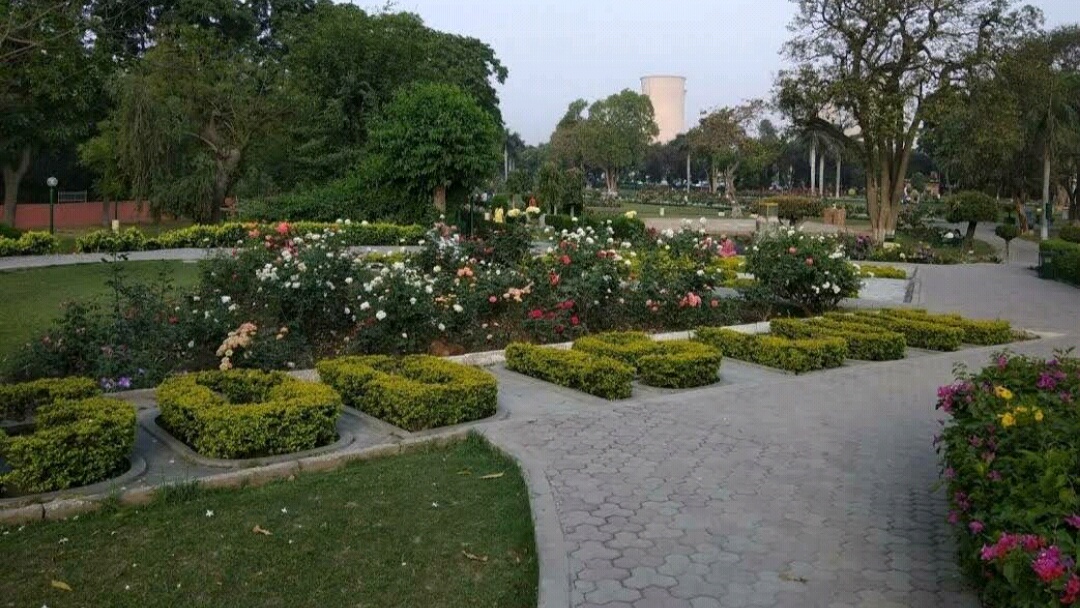 Rose Garden