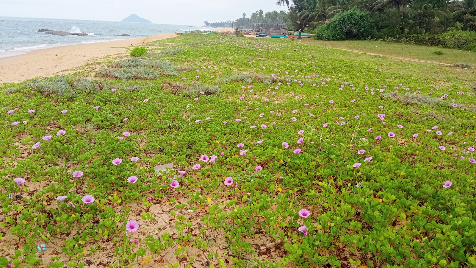 Shirikala Beach