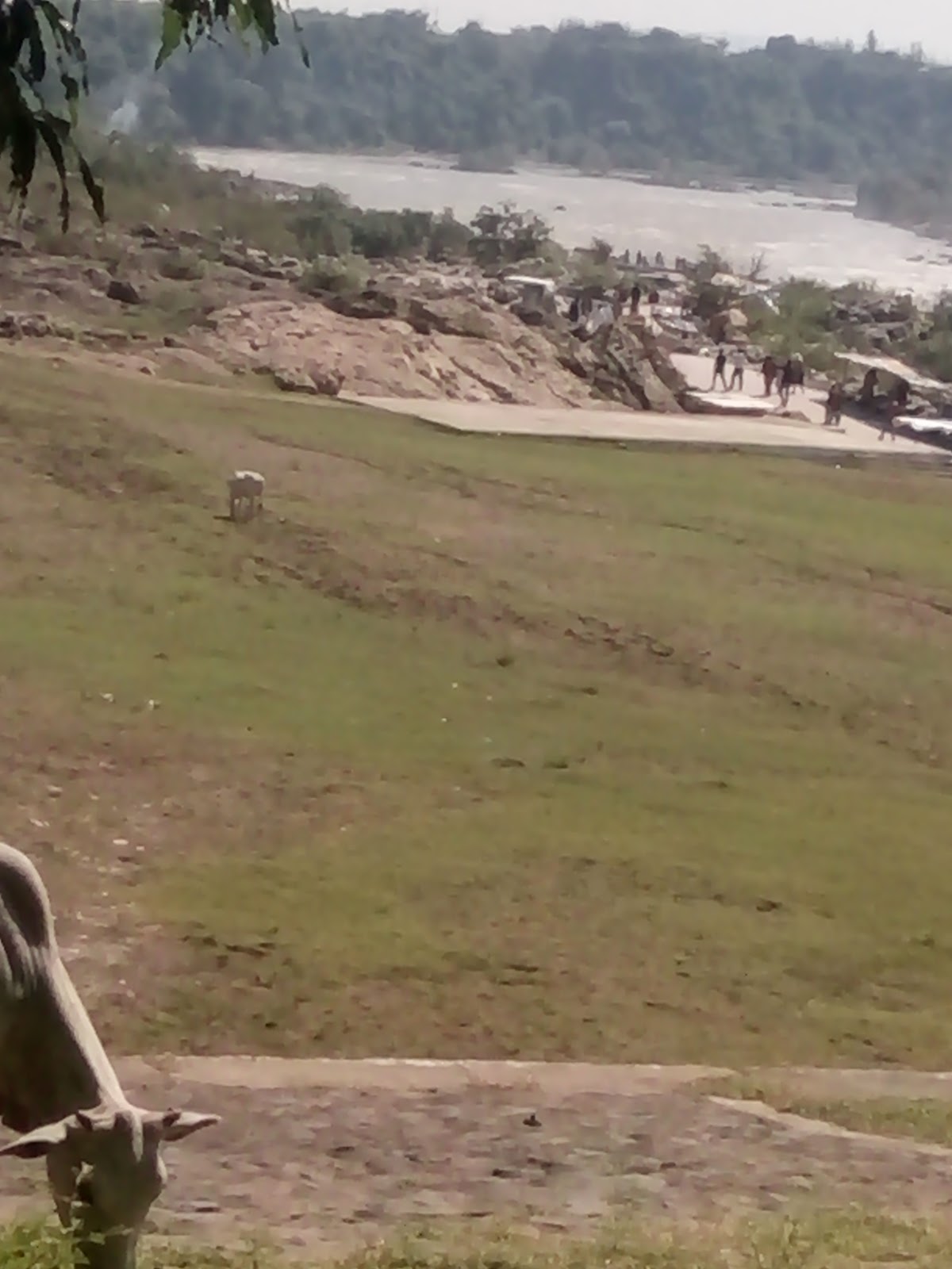 Local Handicraft Market