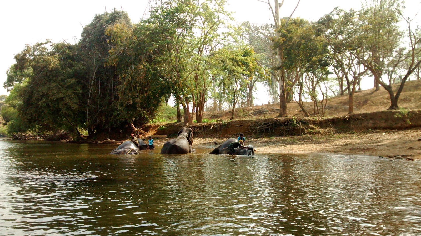 Cauvery Wildlife Sanctuary