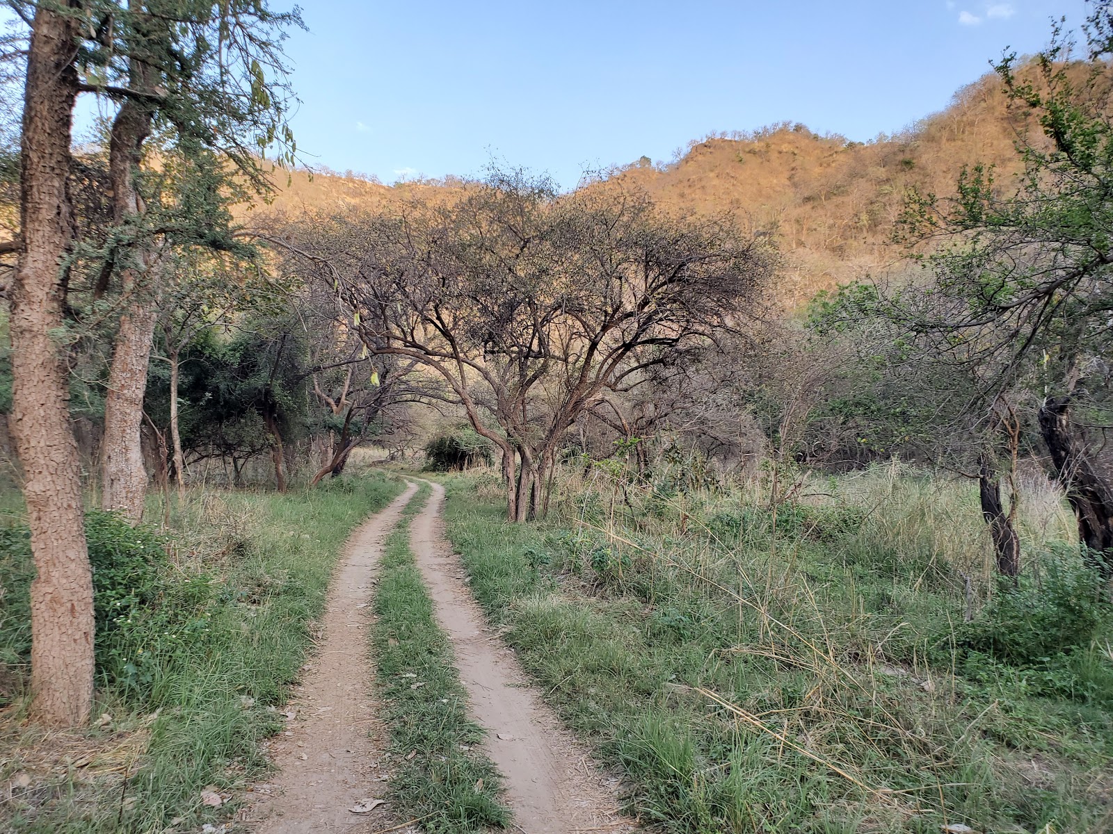 Kumbhalgarh Wildlife Sanctuary