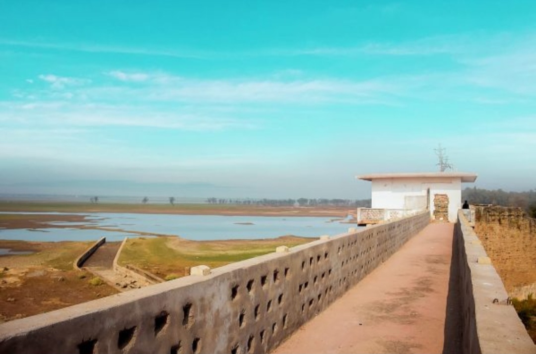 Meja Dam