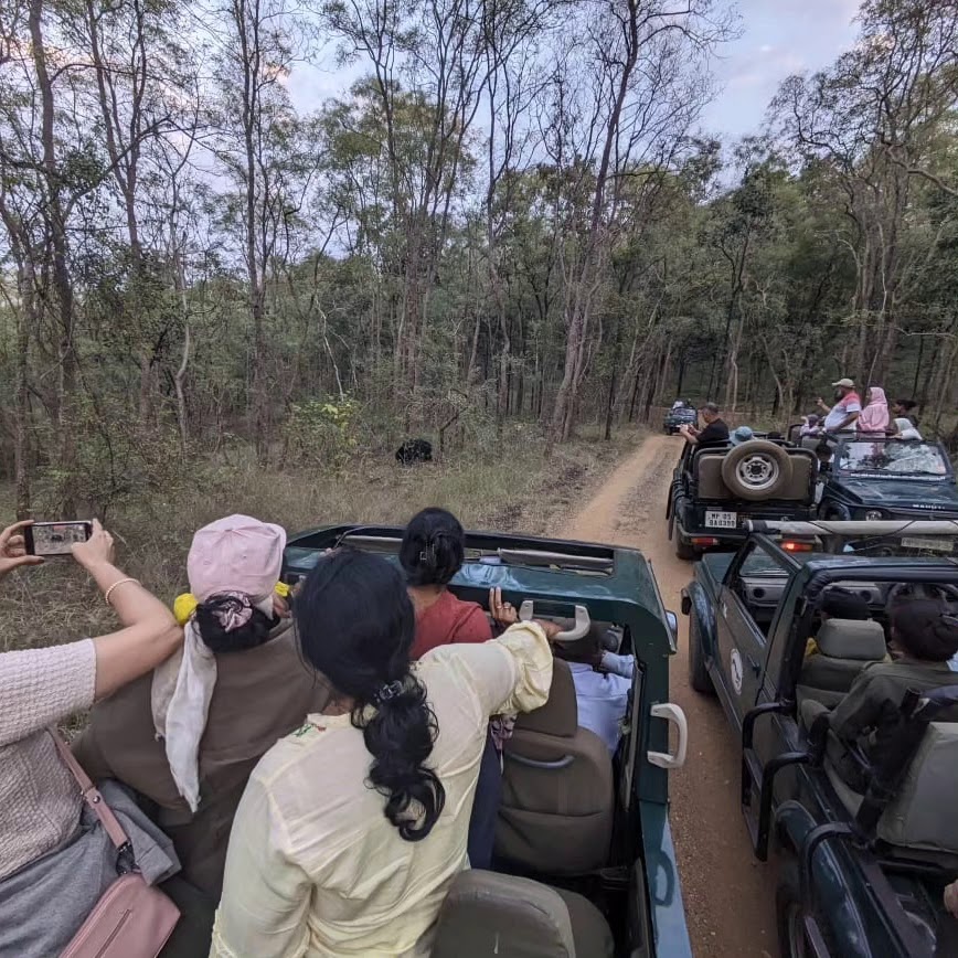 Adventure Activities