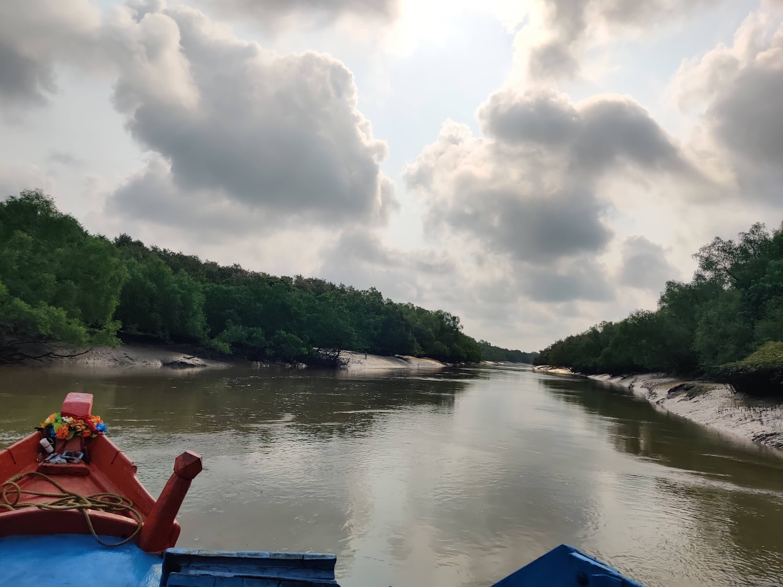 Bhitarkanika Mangroves