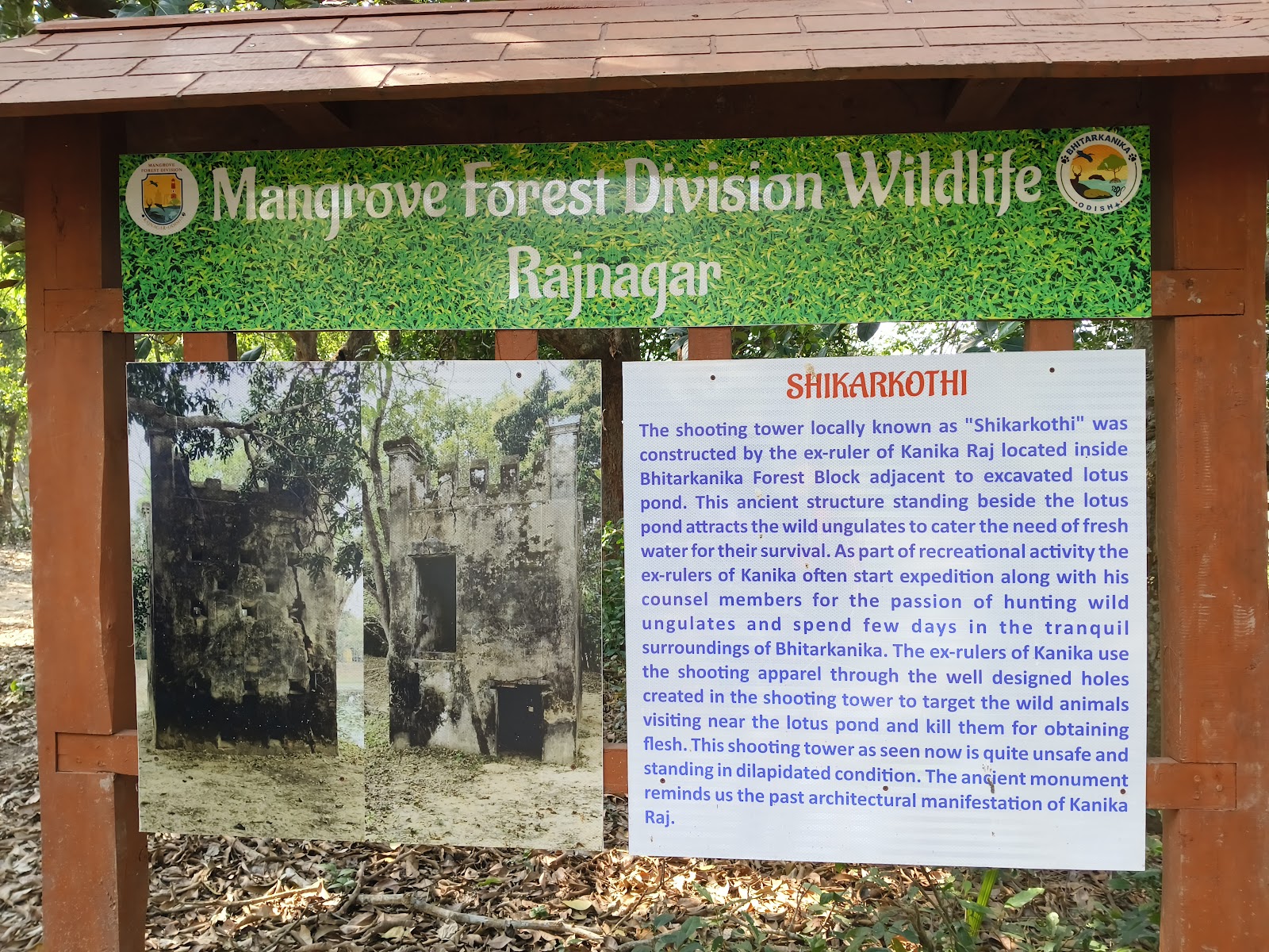 Bhitarkanika Mangroves