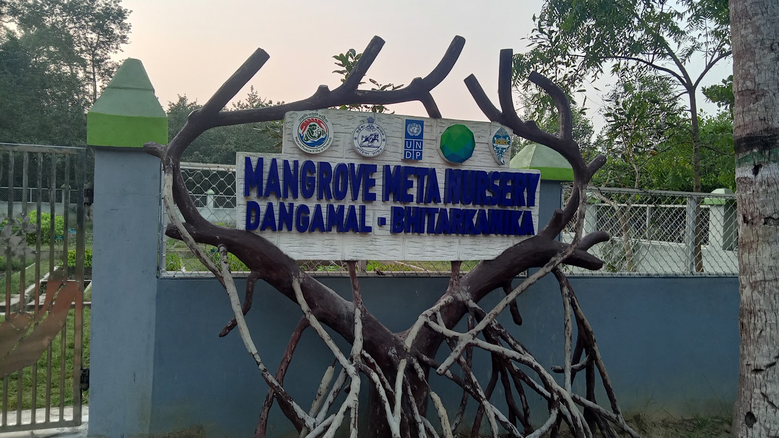 Bhitarkanika Mangroves