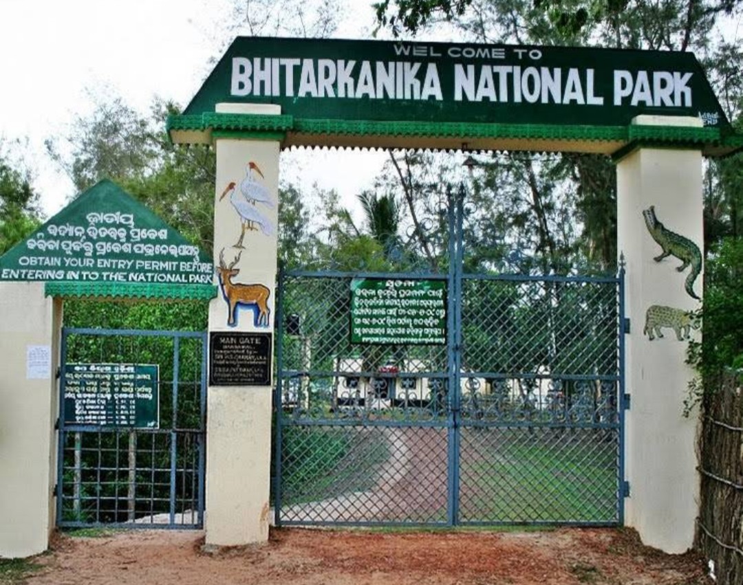 Bhitarkanika National Park - A Wildlife Paradise in Odisha