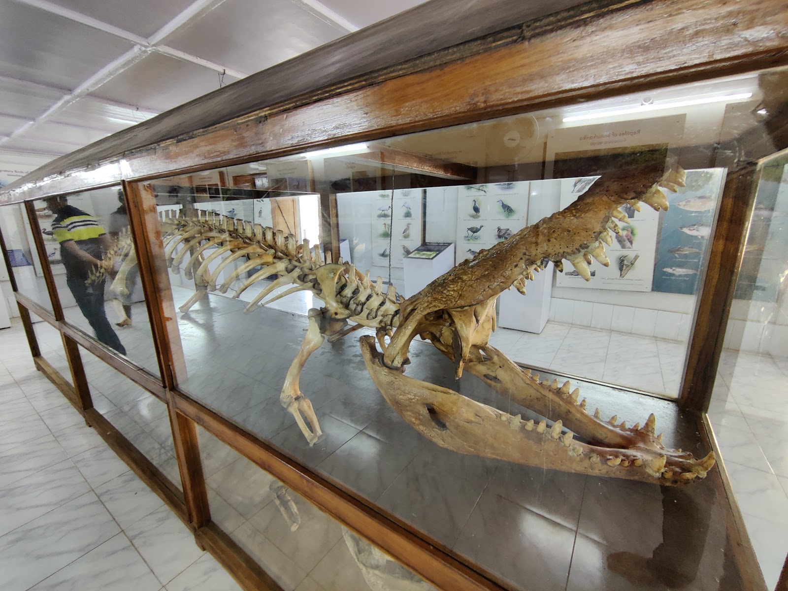 Crocodile Breeding Center