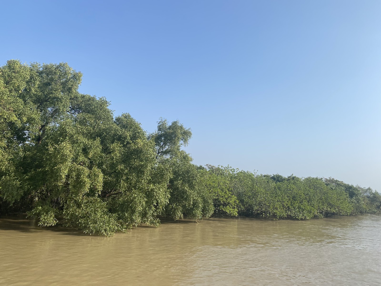 Crocodile Breeding Center