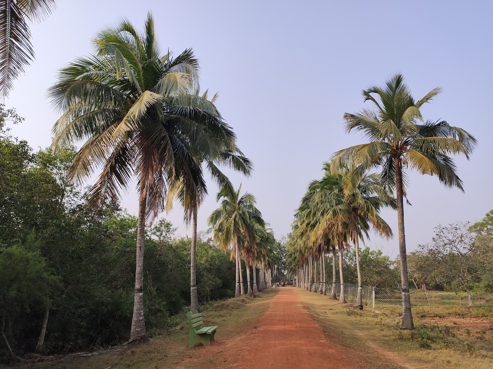 Crocodile Breeding Center