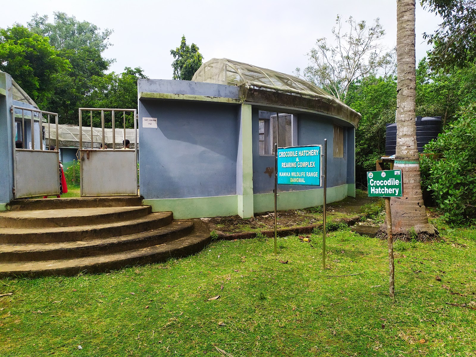 Crocodile Breeding Center