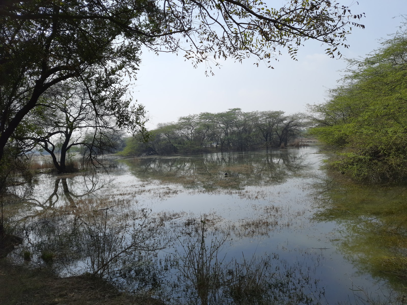 Sultanpur National Park
