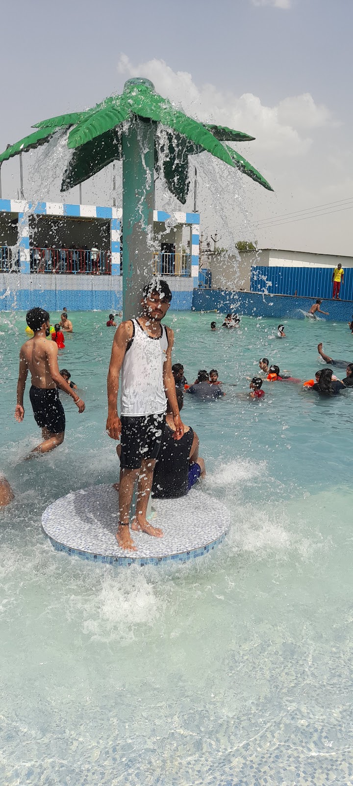 Dolphin Water Park