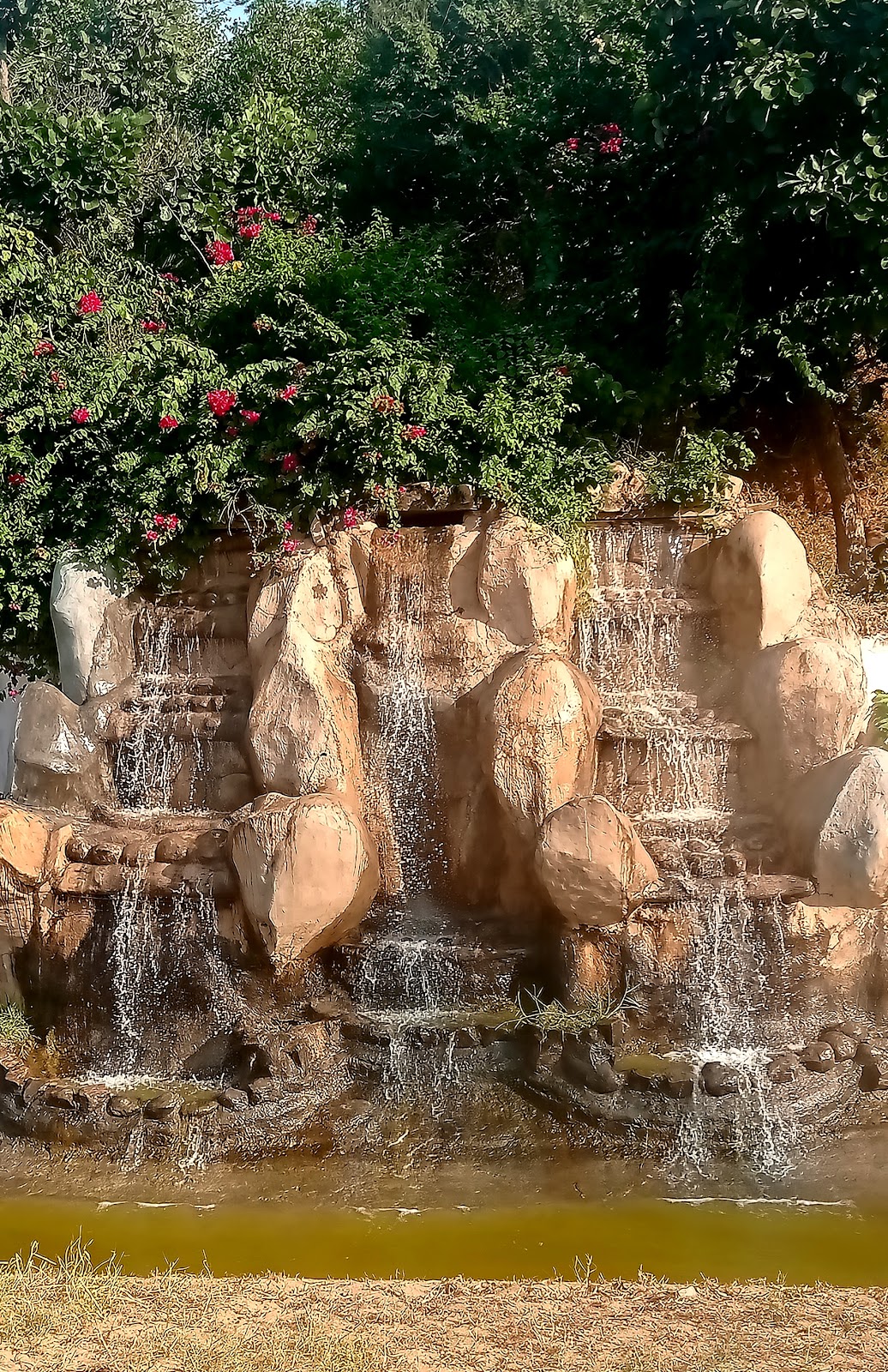 Van Vihar National Park