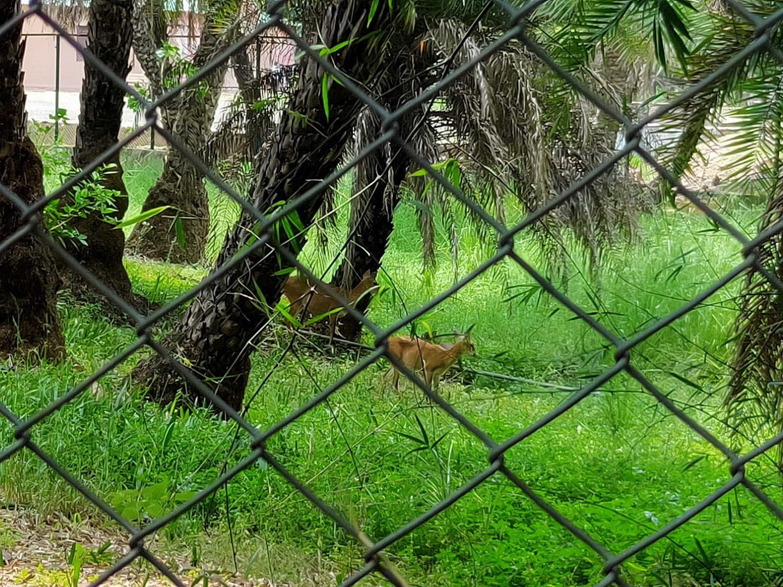Van Vihar National Park