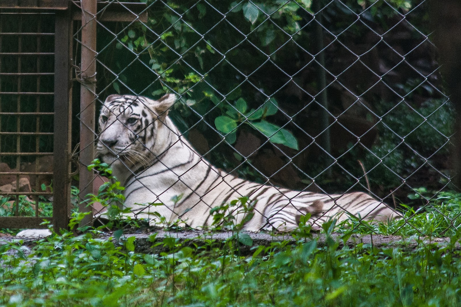Van Vihar National Park