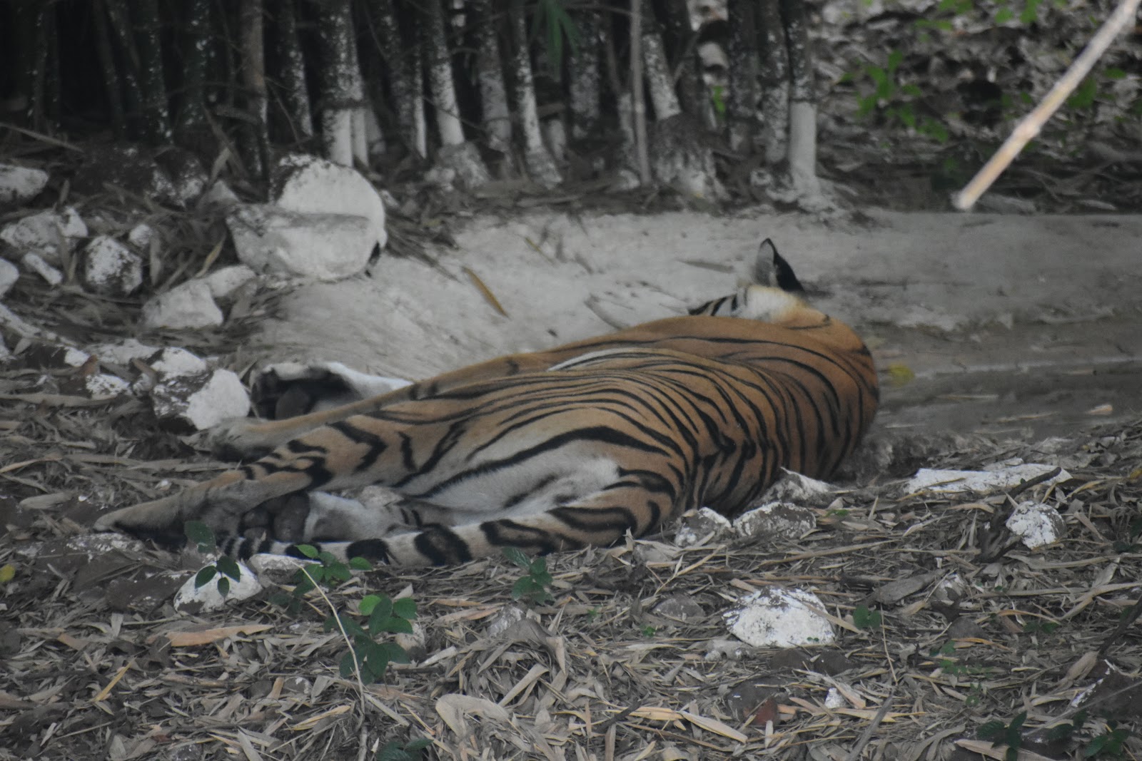 Van Vihar National Park