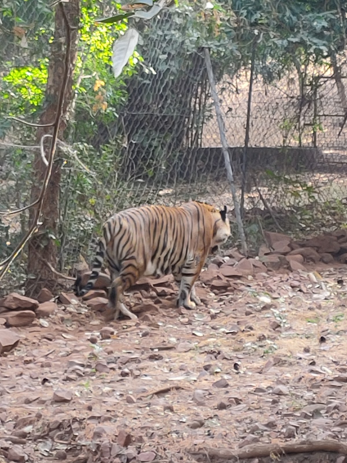 Van Vihar National Park