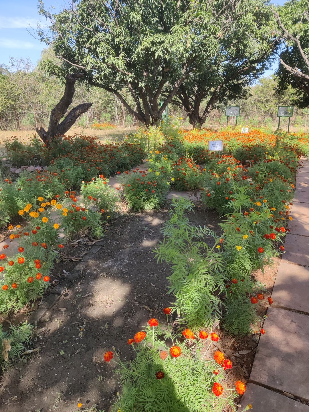 Van Vihar National Park