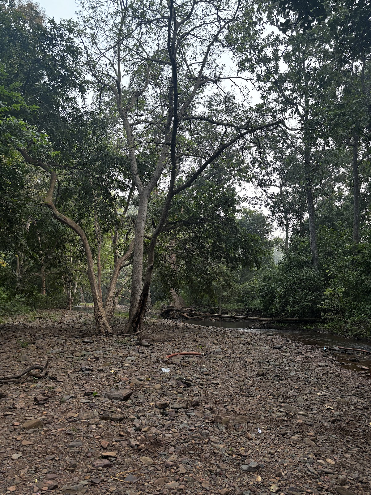 Bhoramdeo Wildlife Sanctuary