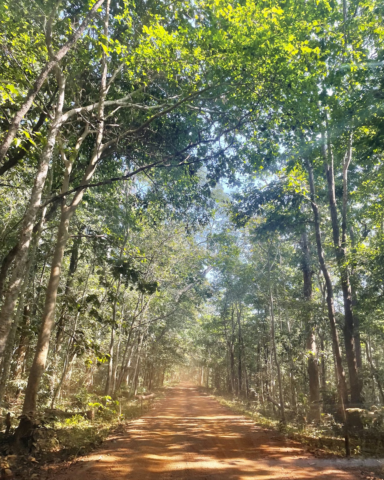 Kanger Valley National Park
