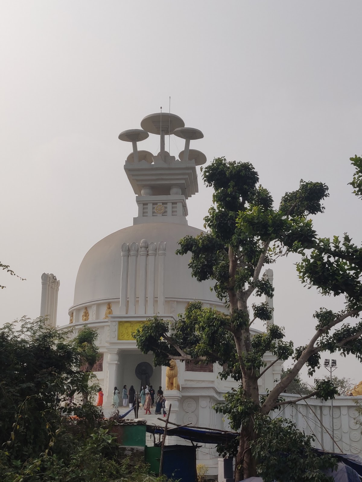 Dhauli Hill