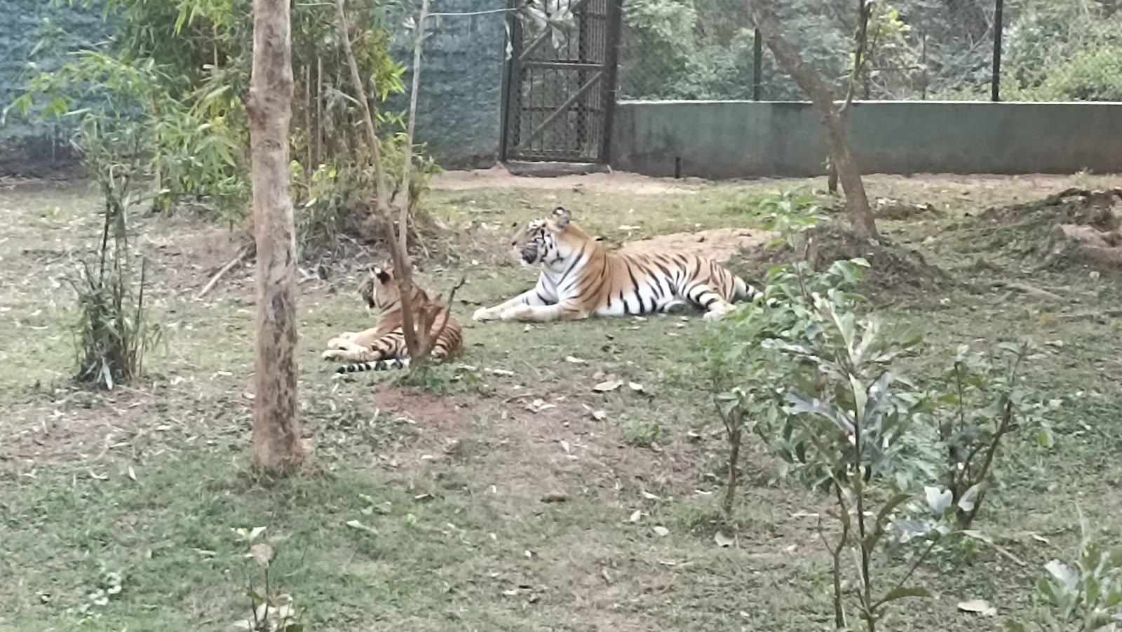 Nandankanan Zoo