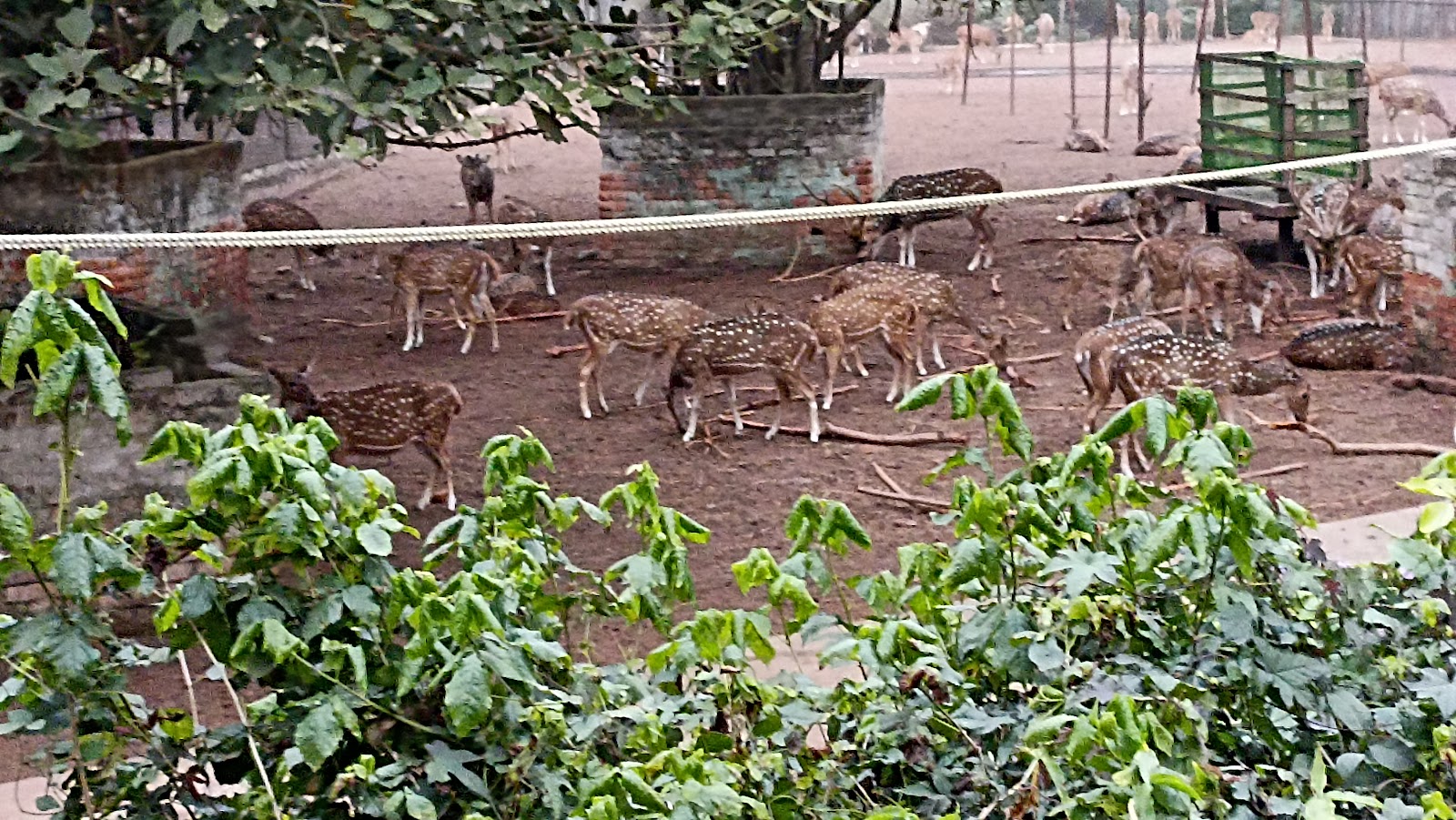 Nandankanan Zoo
