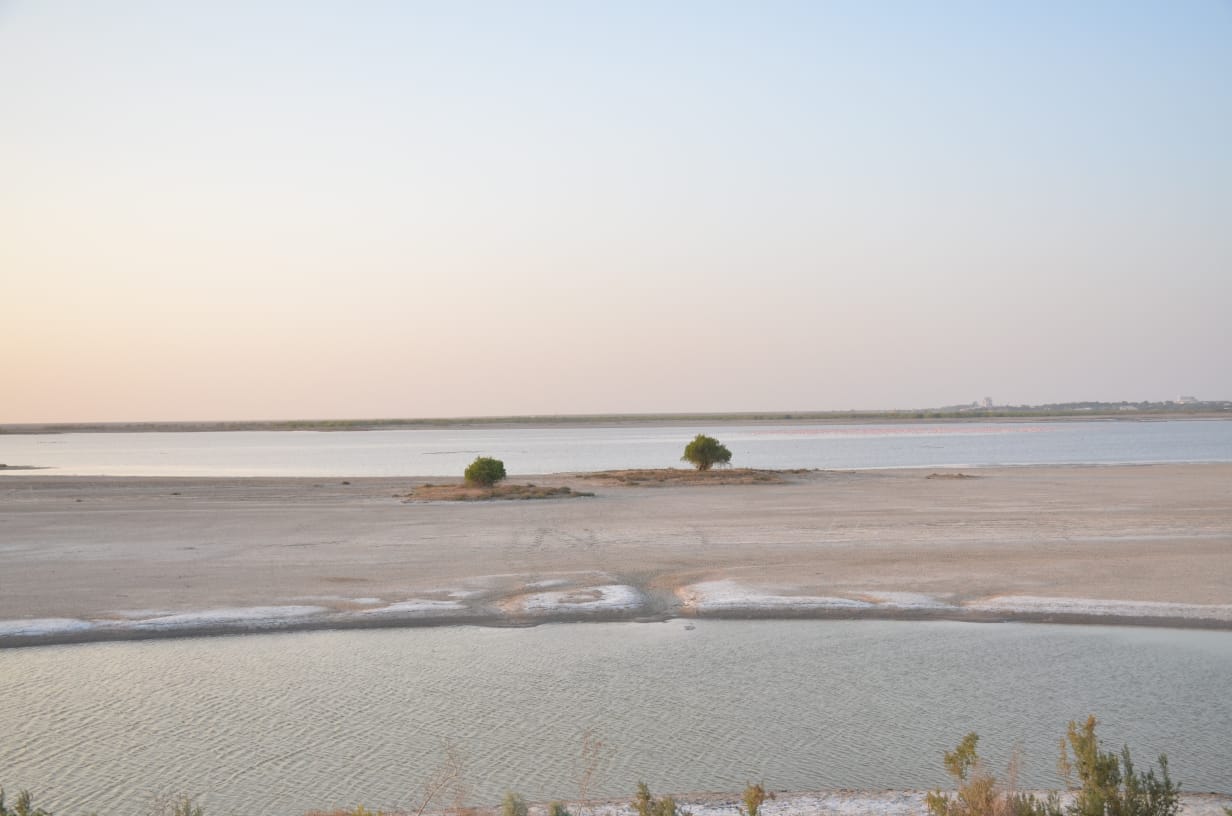 Kutch Desert Wildlife Sanctuary