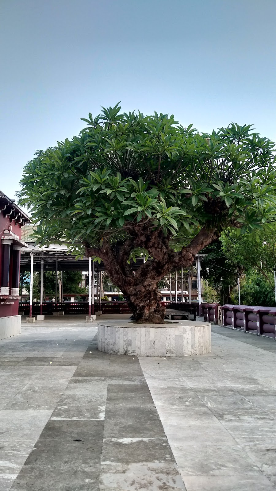 Buddha Mandir