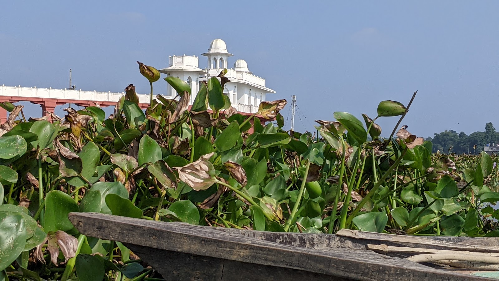 Rudrasagar Lake