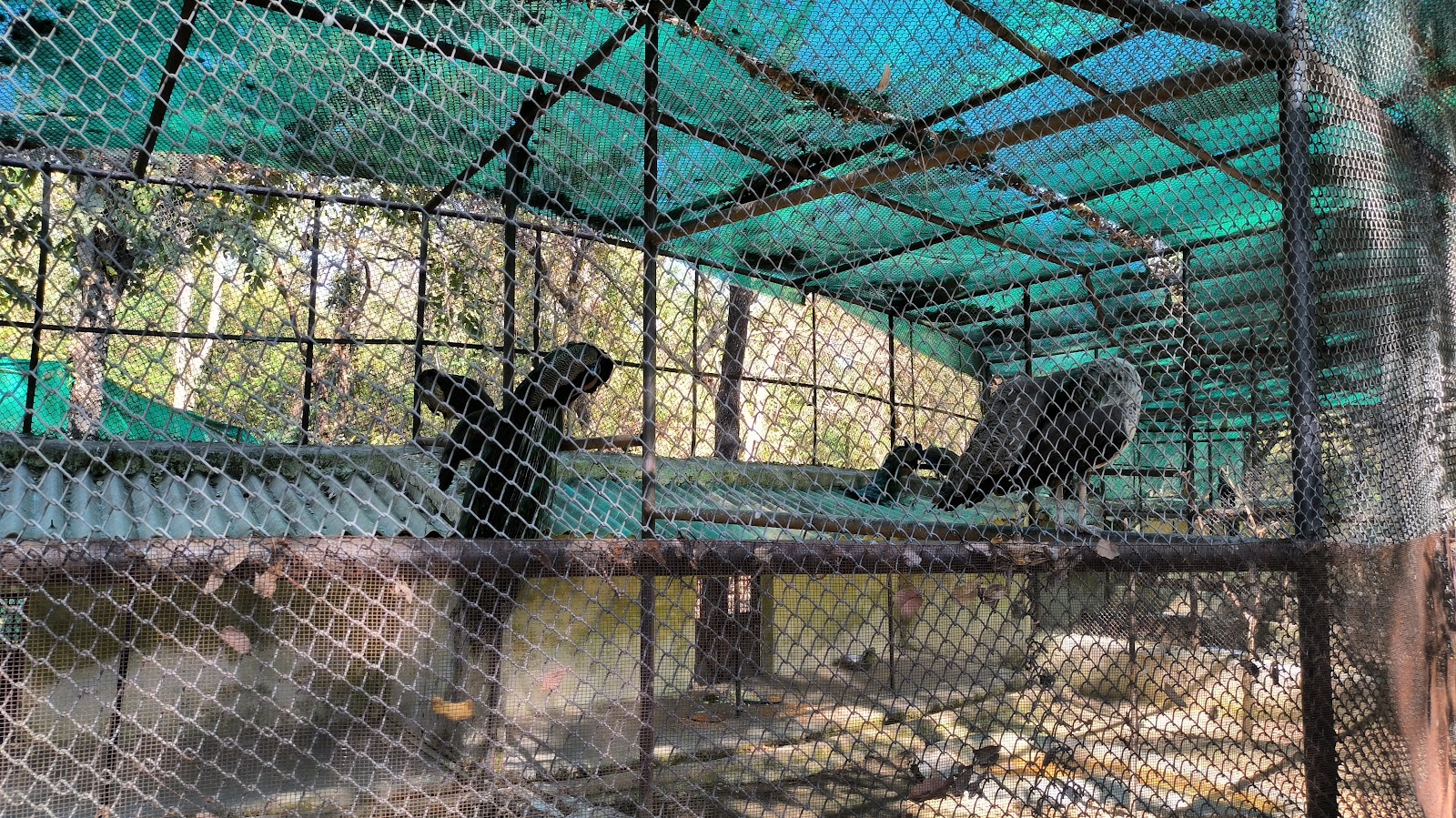 Kanan Pendari Zoo