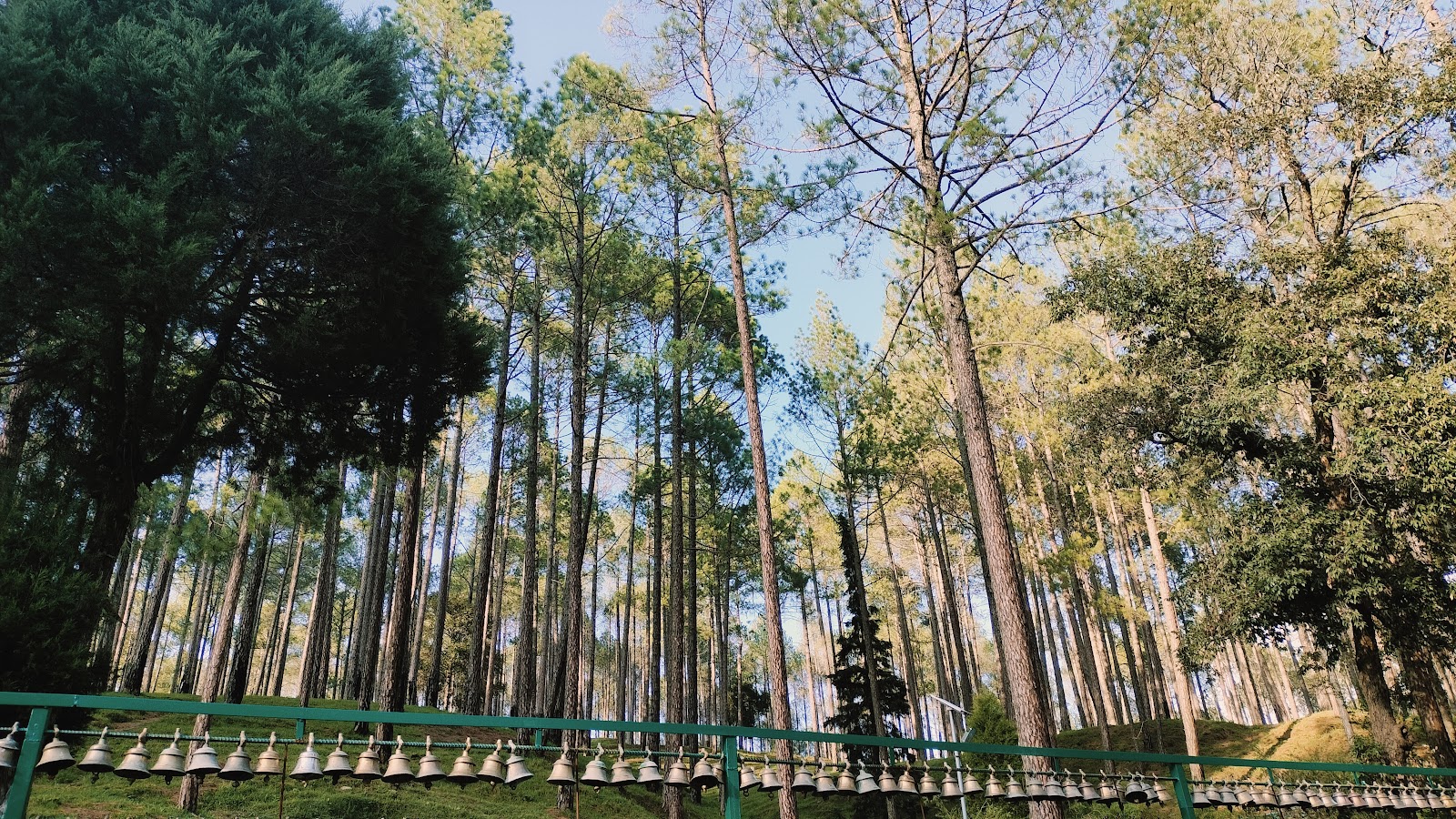 Binsar Mahadev Temple