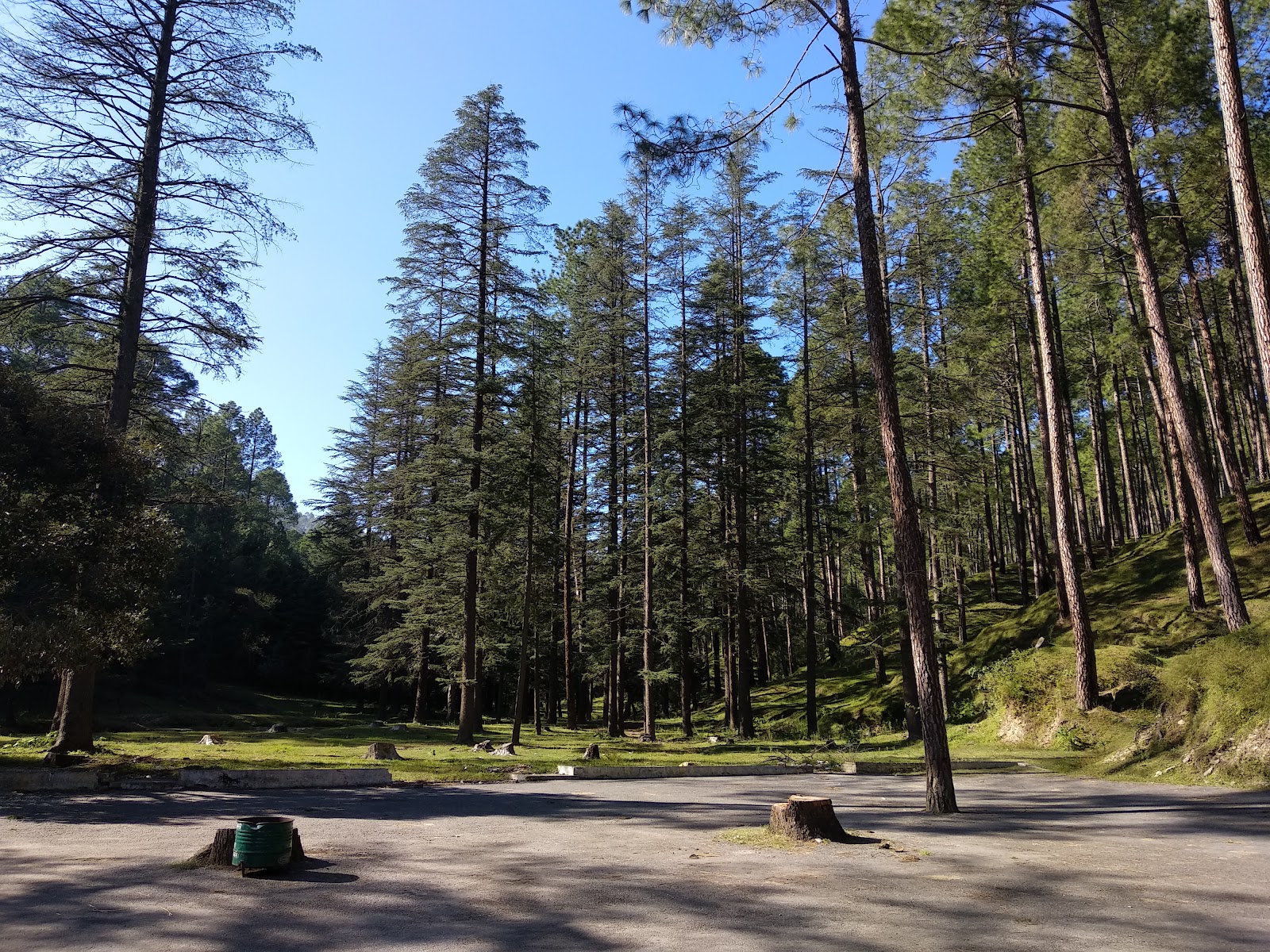 Binsar Mahadev Temple