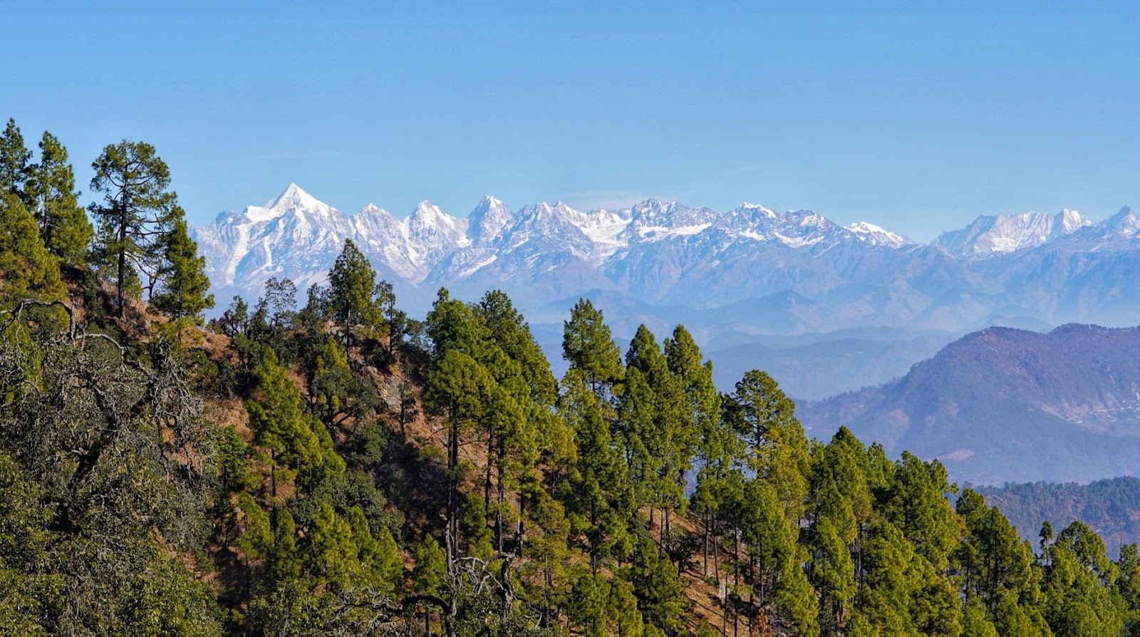 Binsar - A Serene Hill Station in Uttarakhand