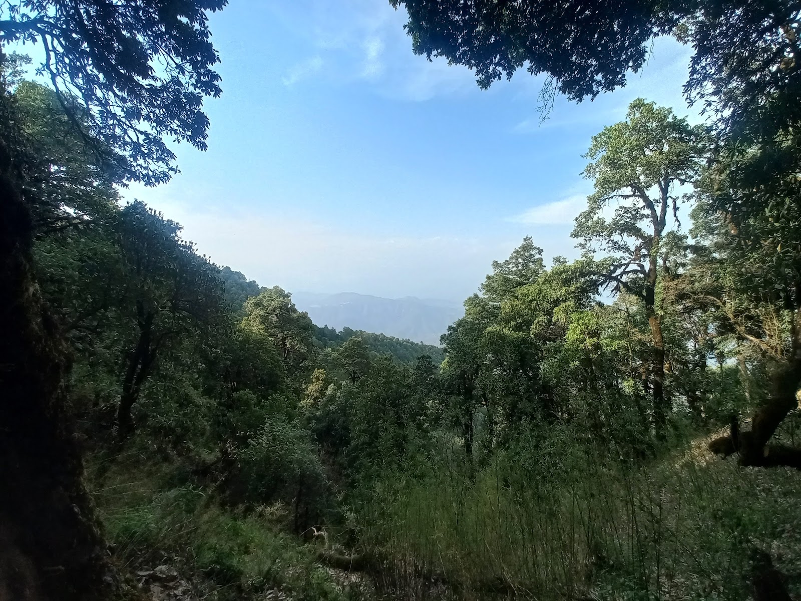 Binsar Wildlife Sanctuary