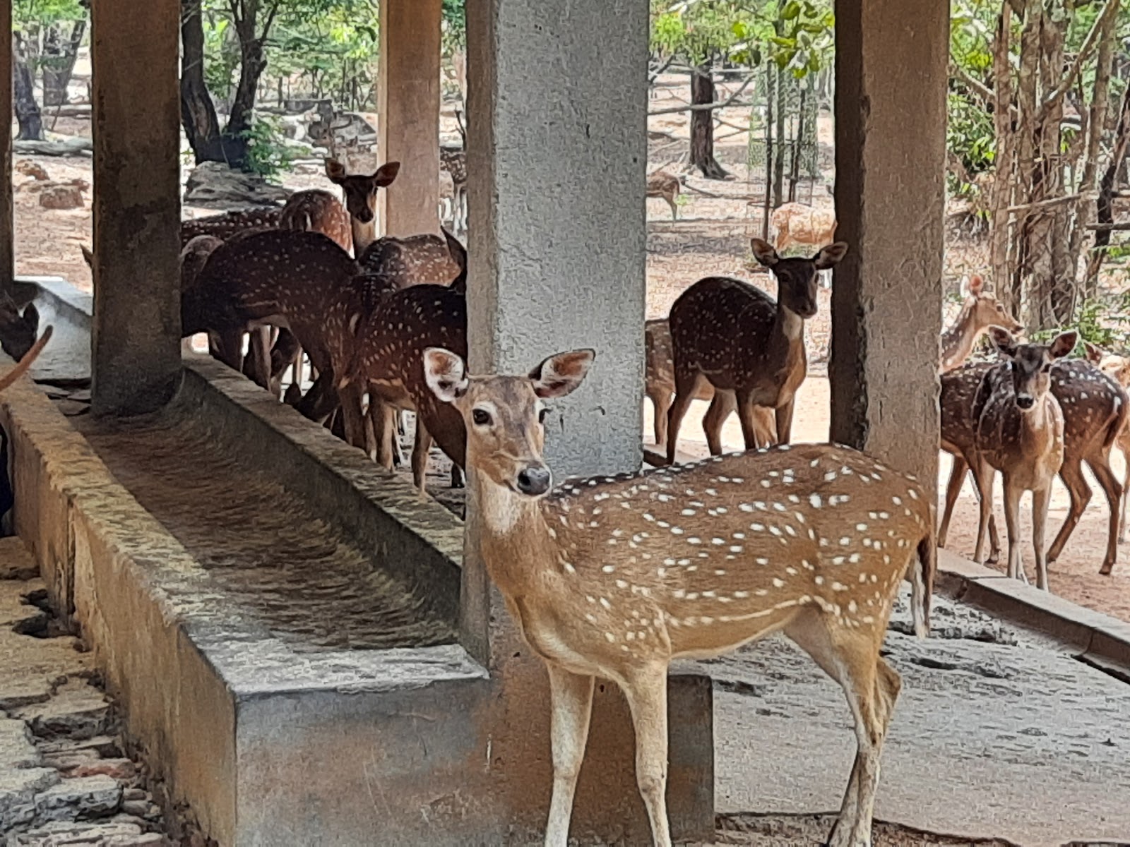 Ballabhpur Wildlife Sanctuary