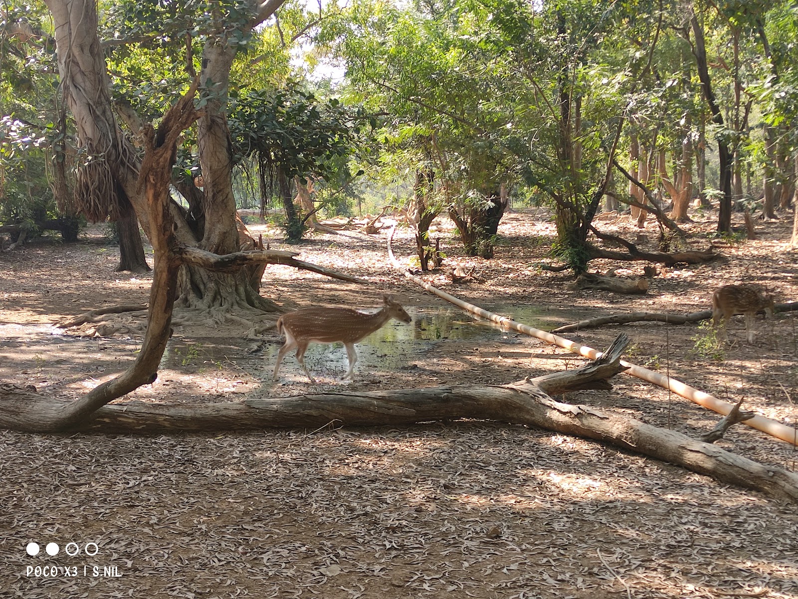 Ballabhpur Wildlife Sanctuary