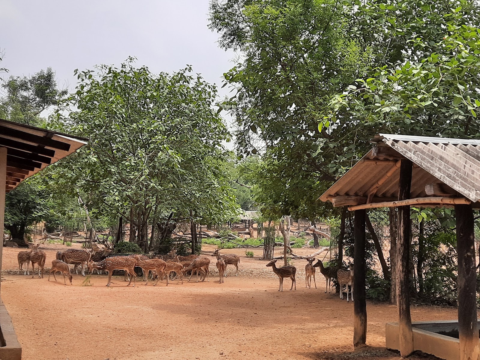 Ballabhpur Wildlife Sanctuary