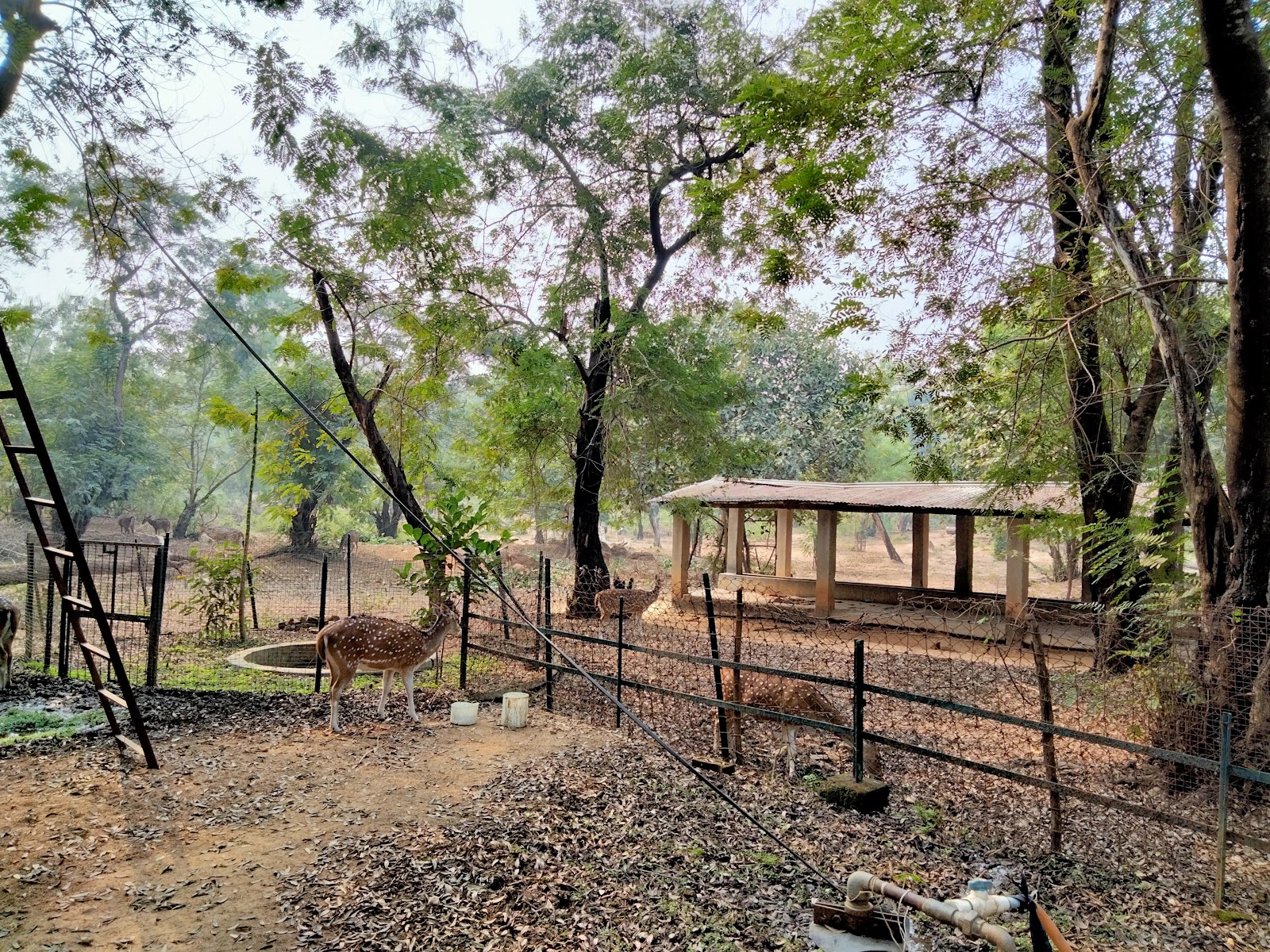 Ballabhpur Wildlife Sanctuary