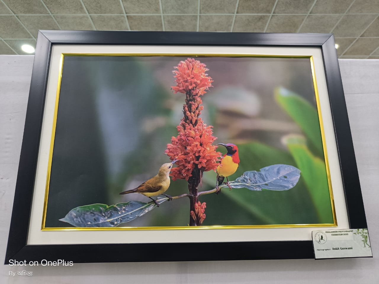 Bishnupur Gharana Music Academy