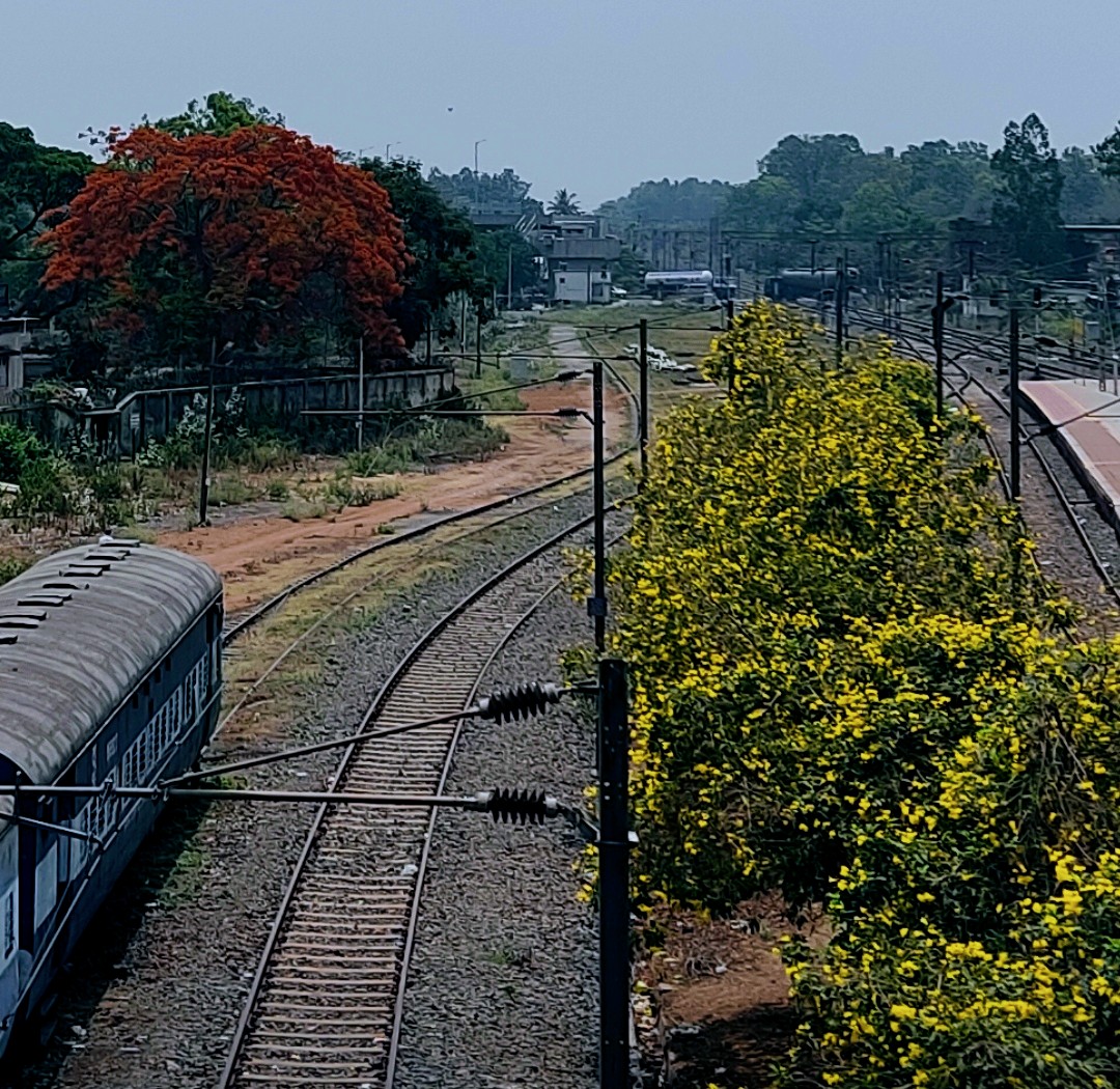 Bishnupur Lake