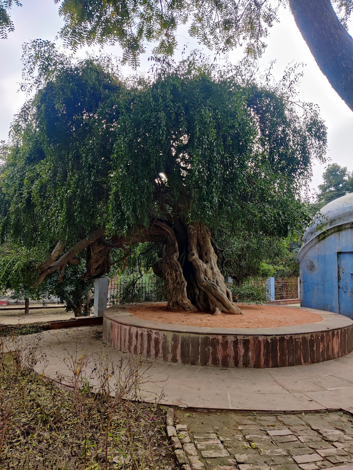 Valmiki Ashram