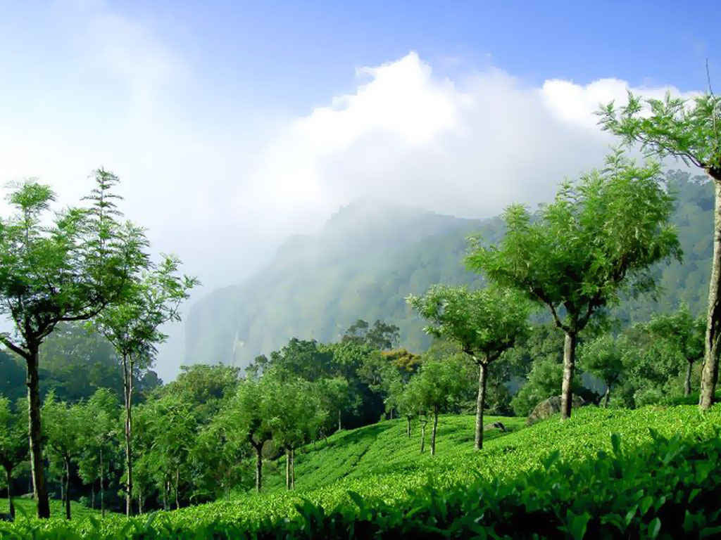 Nilgiri Hills