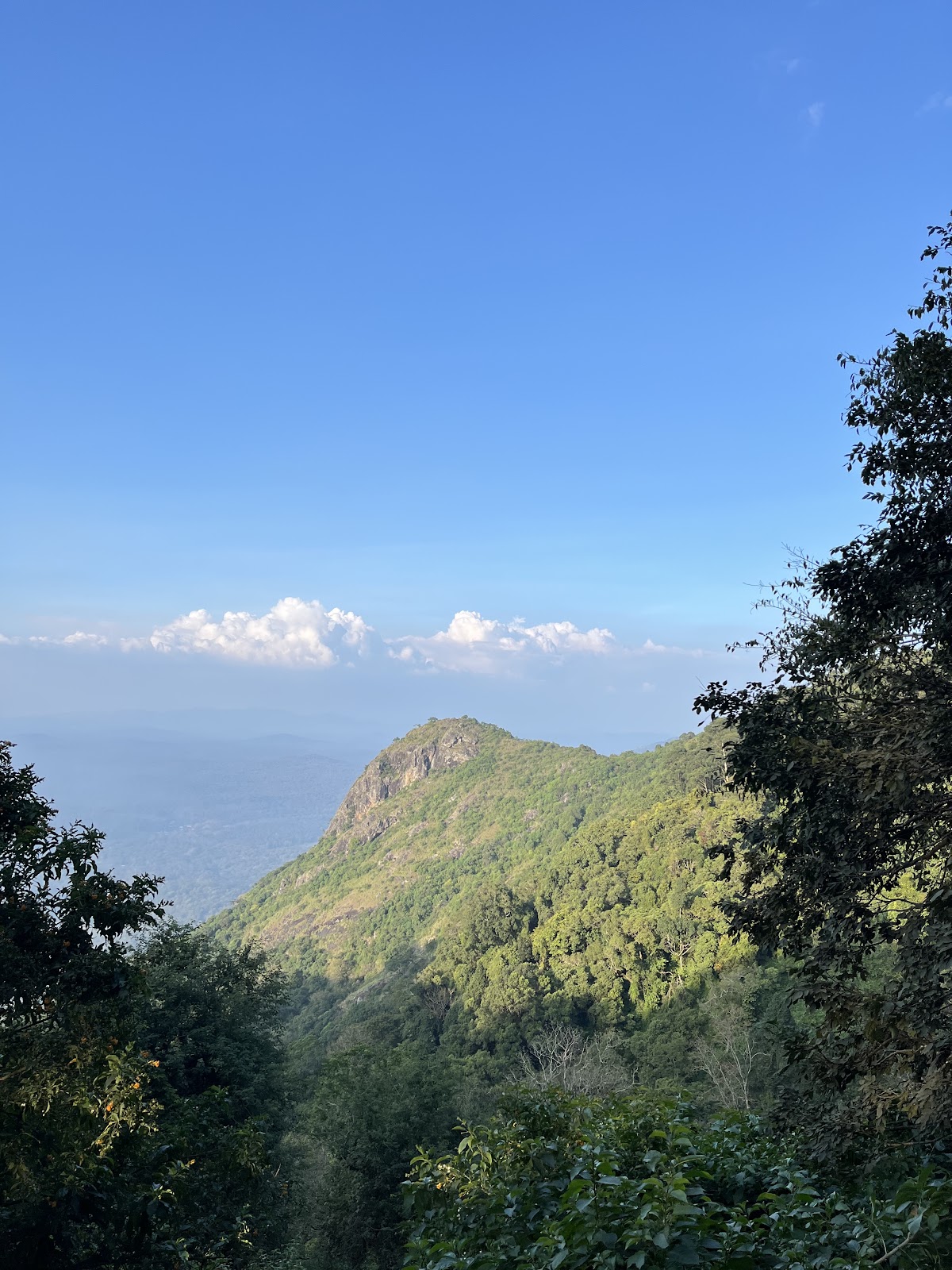 Nilgiri Hills