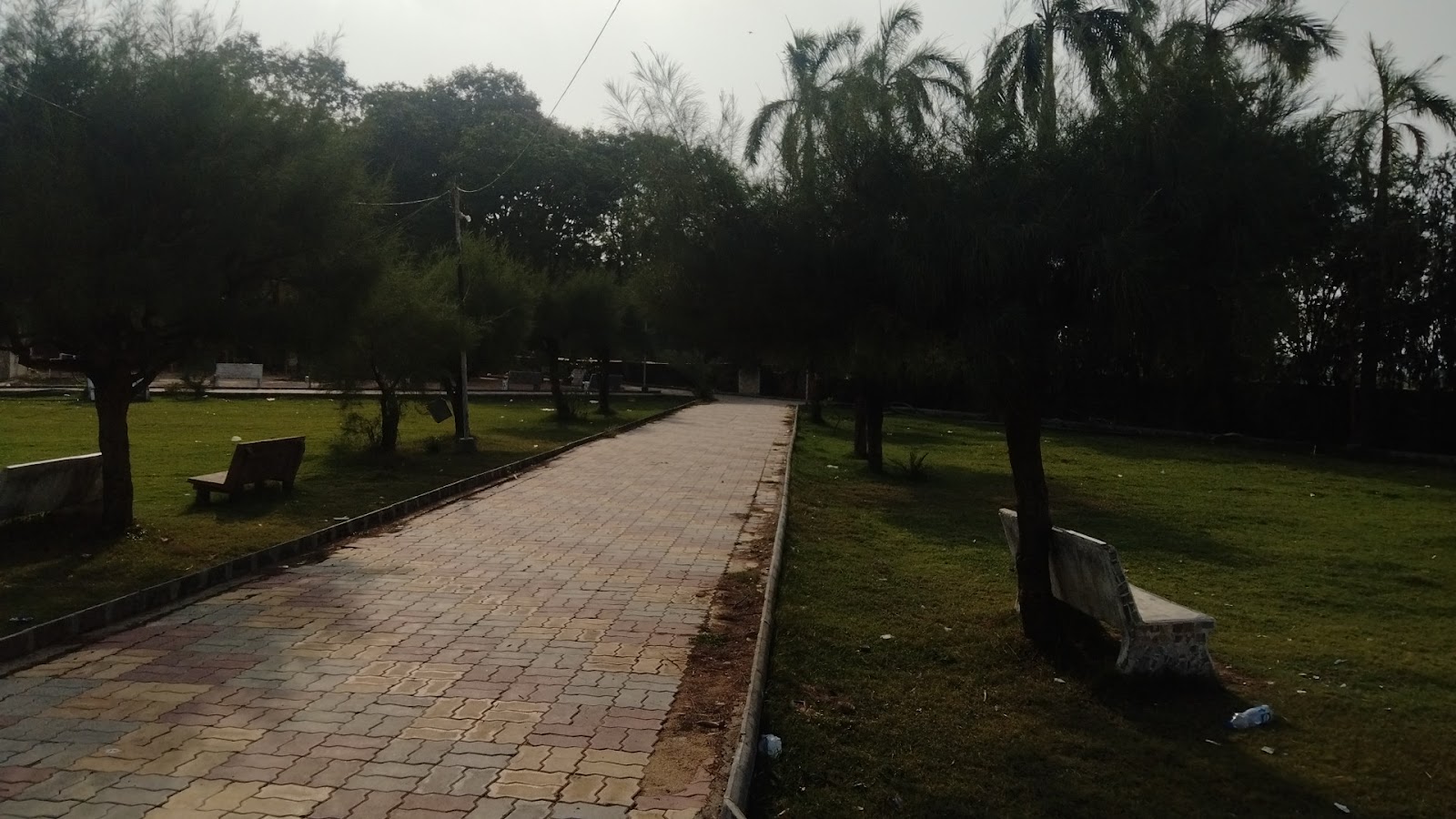 Evening Garden Near School Road