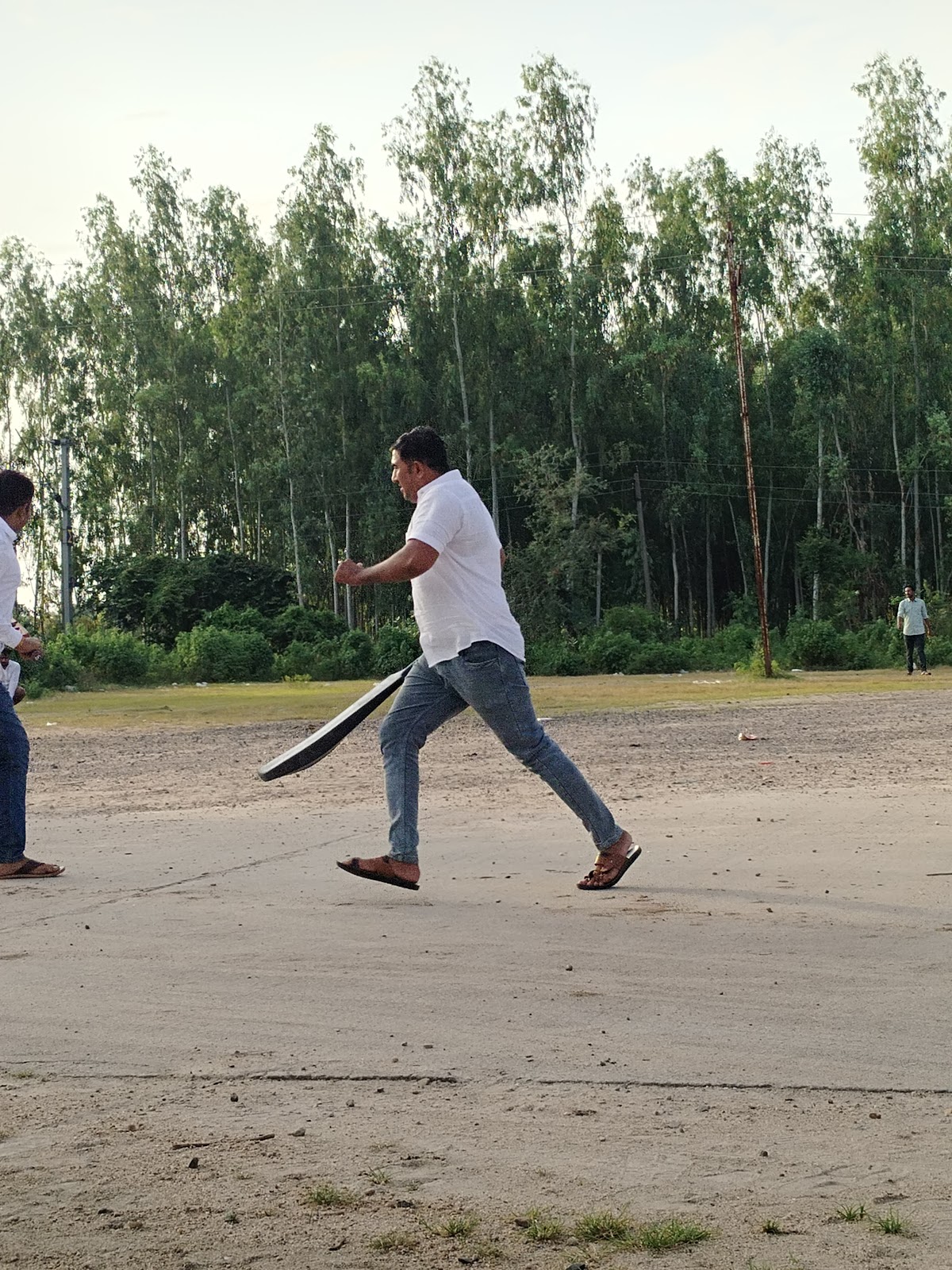 Evening Garden Near School Road