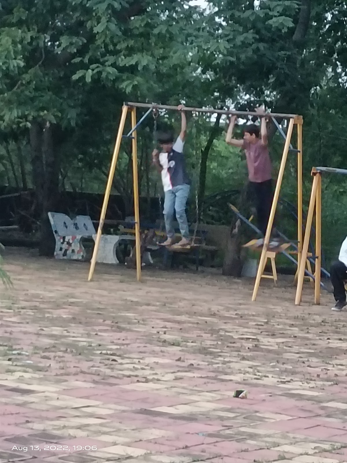 Evening Garden Near School Road