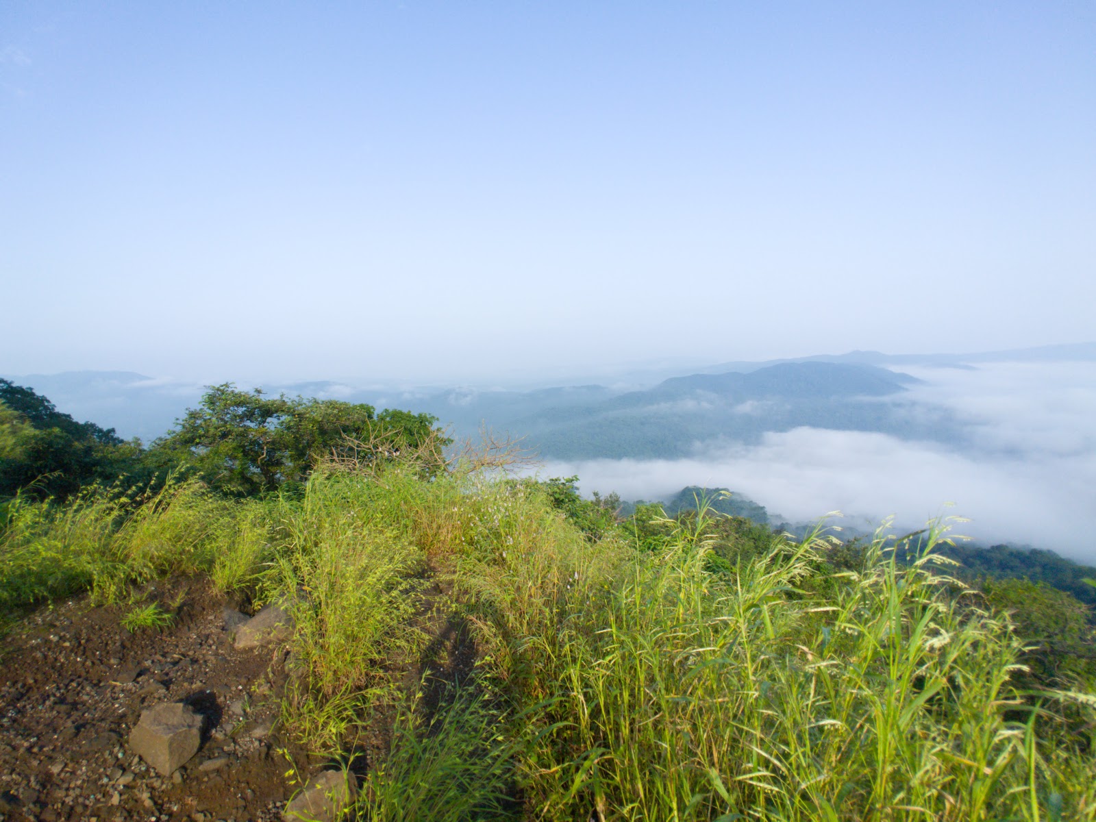 Karnala Bird Sanctuary